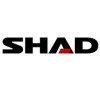 Shad